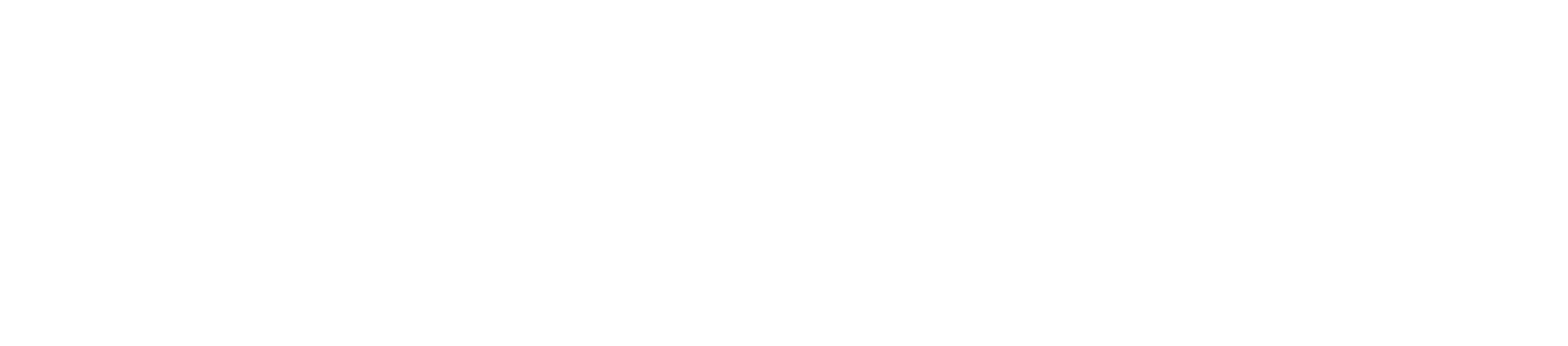 Torus logo