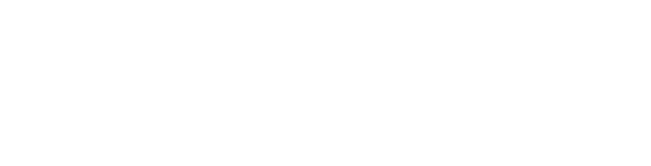 xpel white logo